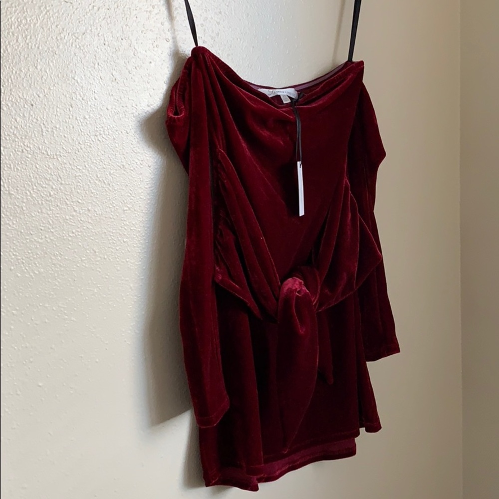 NWT Lovers + Friends Lucia Burgundy Velvet Dress - Picture 4 of 8